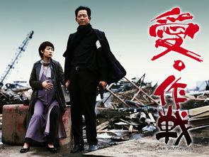 爱 战争,爱在战火中的坚韧绽放