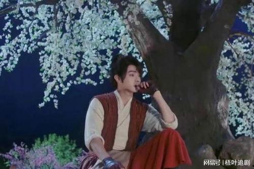 祈今朝,探寻未来与传承的交汇点