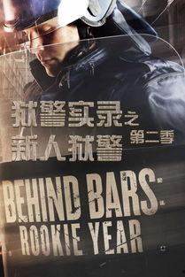 大案实录 第二季,惊心动魄的真相揭秘